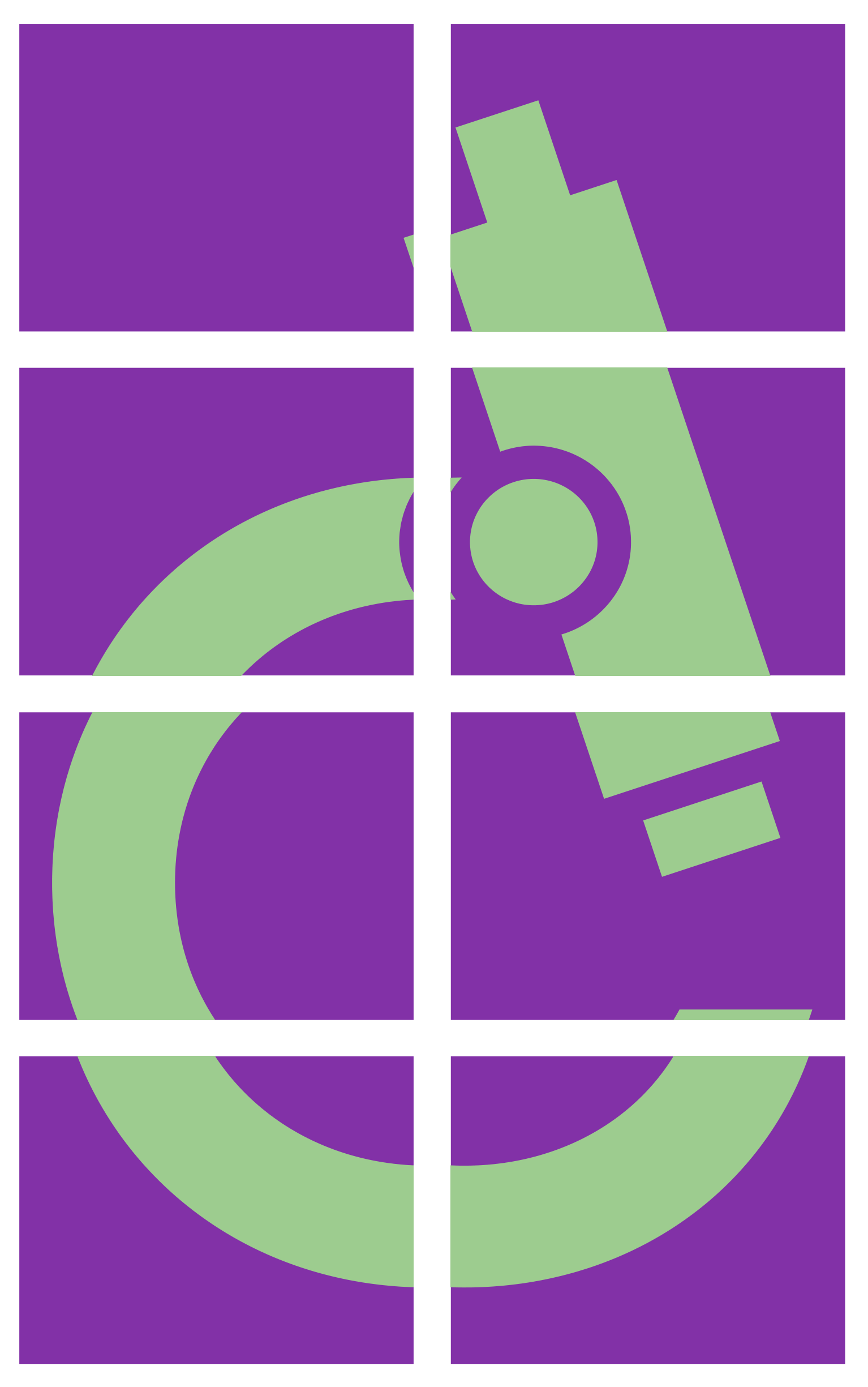 1 Picasso 100 Euros 1-picasso-100-euros